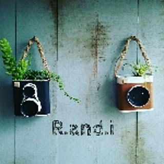 R.and.i