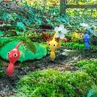 PON
