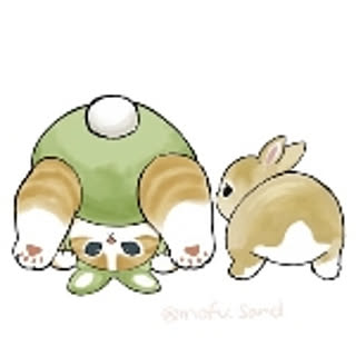 tomo