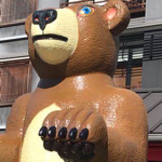 noe