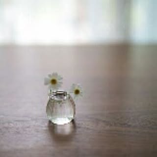 sky.angel-chiho