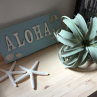 emily__home