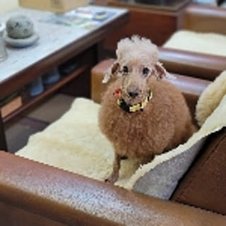 bonbon