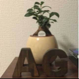 mag