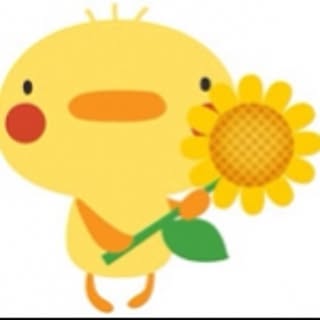 P-KO