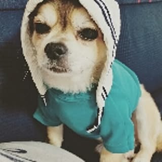 Yuka