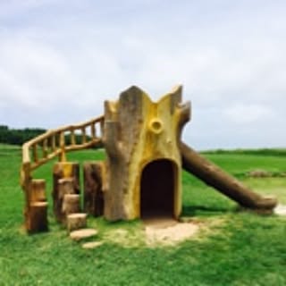 tomo