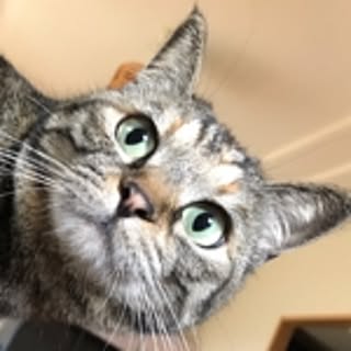 LillaMy