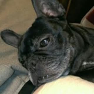 junbe