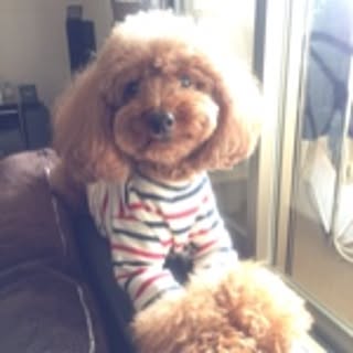 maccha_latte
