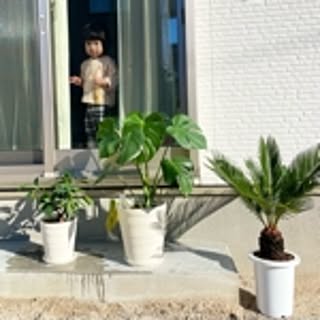 ksm_0_0
