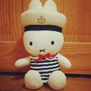 koto_ko