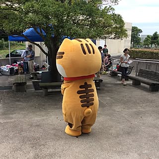 kupu