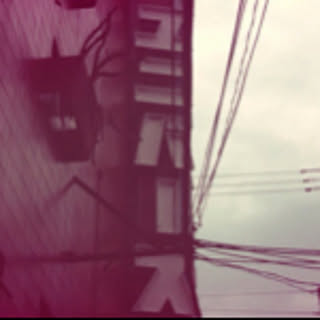 voxxx55555