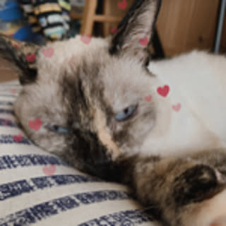 Akiko