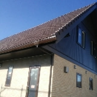 tararira37