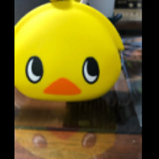 pocopoco