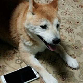 hana