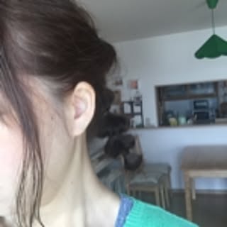 aiko