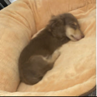 mi.