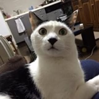 Tsutomu