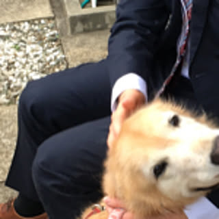 hitochan