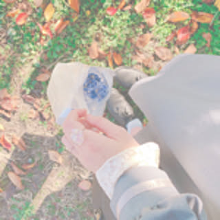 nachi