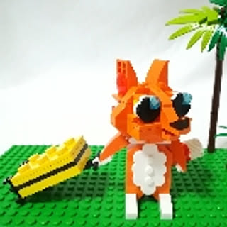 kikko