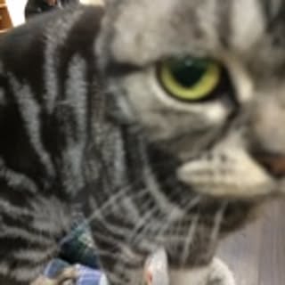 Nao