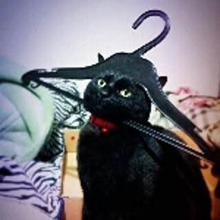 MizuYaco