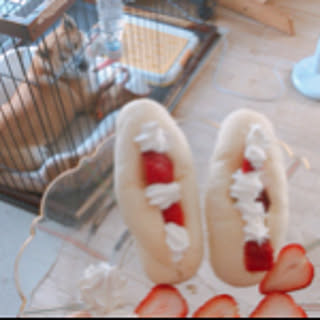ichigo_ichigo