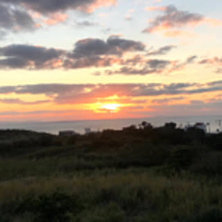 miamido