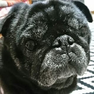 hana