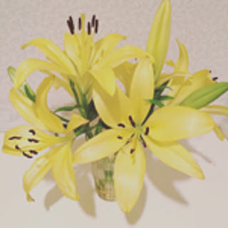 Lilies