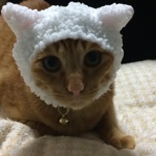 yui