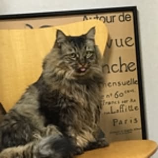 knekghrkkt