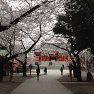 yuki