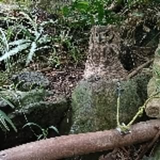 mitsumitsu