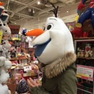 vistocky