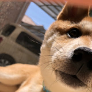 maki
