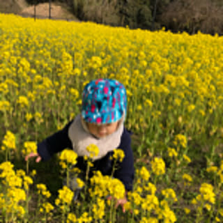 masako