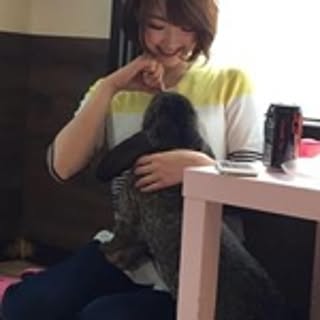 kayo