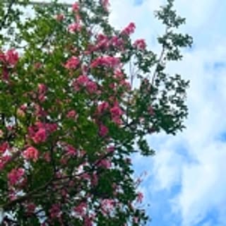 ma_o0108