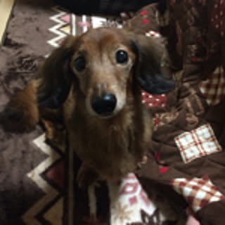 baaba