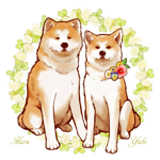 akitainu7