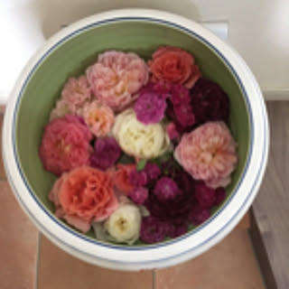 aa