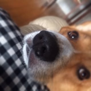 nora