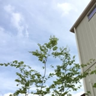nacco
