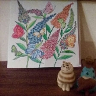 kuracirica_myco