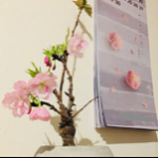 Yuko